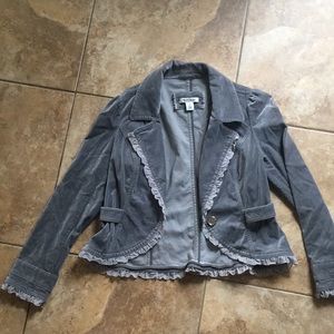 WHBM gray velvety jacket